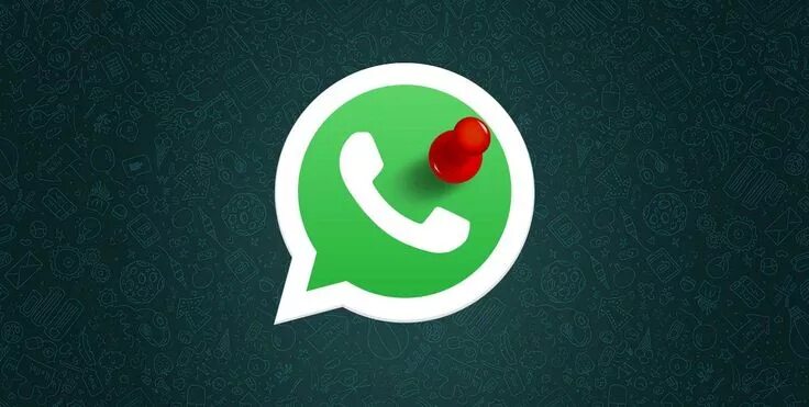Крутое фото whatsapp Pin su Blog