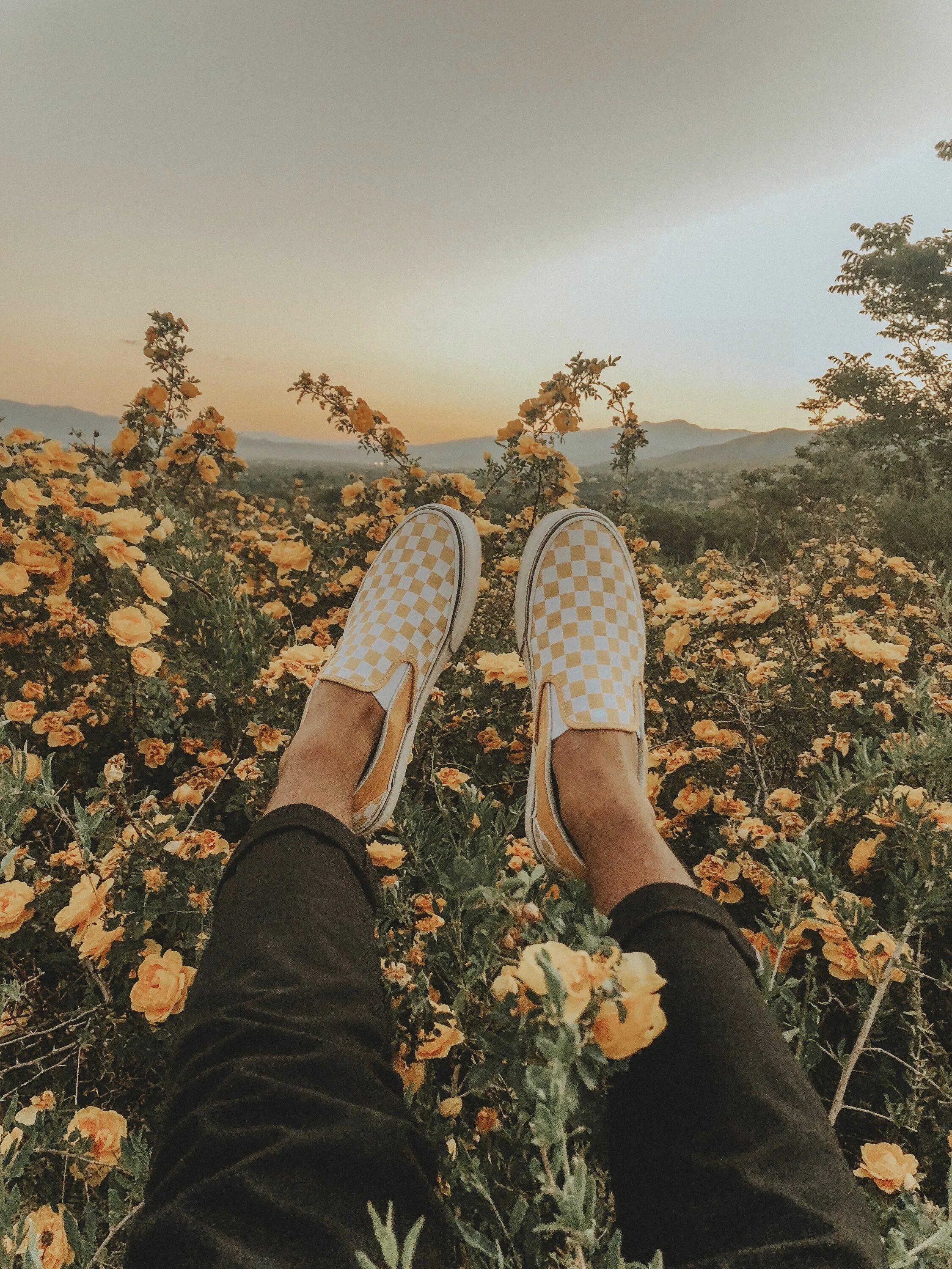 Крутое летнее фото yellow days Wallpaper pastel, Fotografi kreatif, Gambar estetika