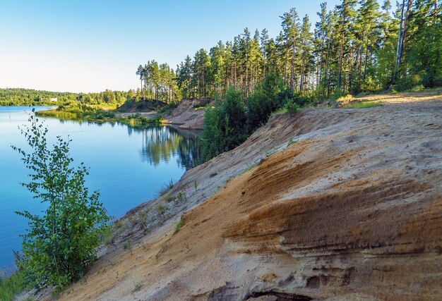 Крутой берег фото Песчаный крутой берег с сосновым лесом над водохранилищем Премиум Фото