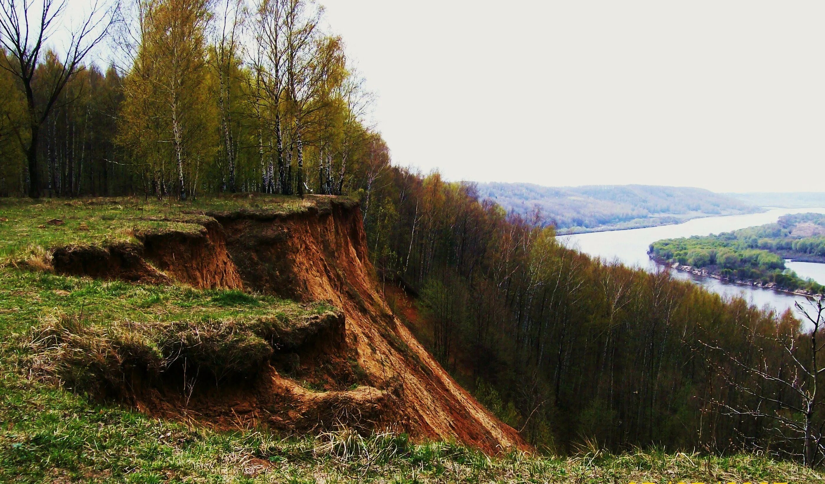 Крутой берег реки фото Берег оврага