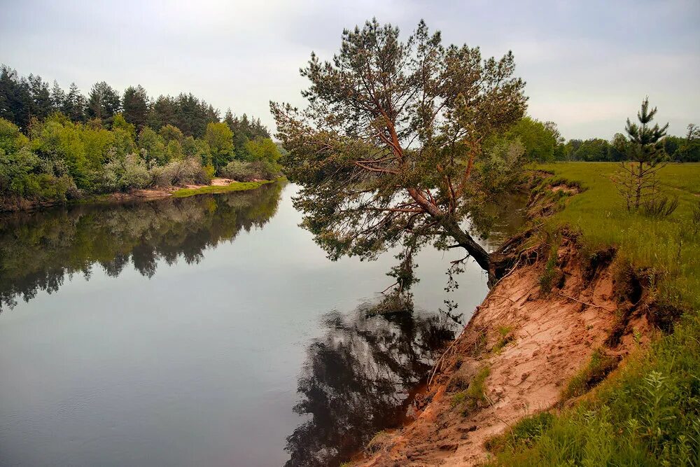 Крутой берег реки фото Панорама: Лимон, туристический клуб, ул. Чернышевского, 3, Химки - Яндекс Карты