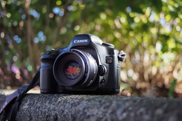 Крутой фотоаппарат фото closeup photo of black Canon DSLR camera New Old #closeup #photo #black DSLR cam