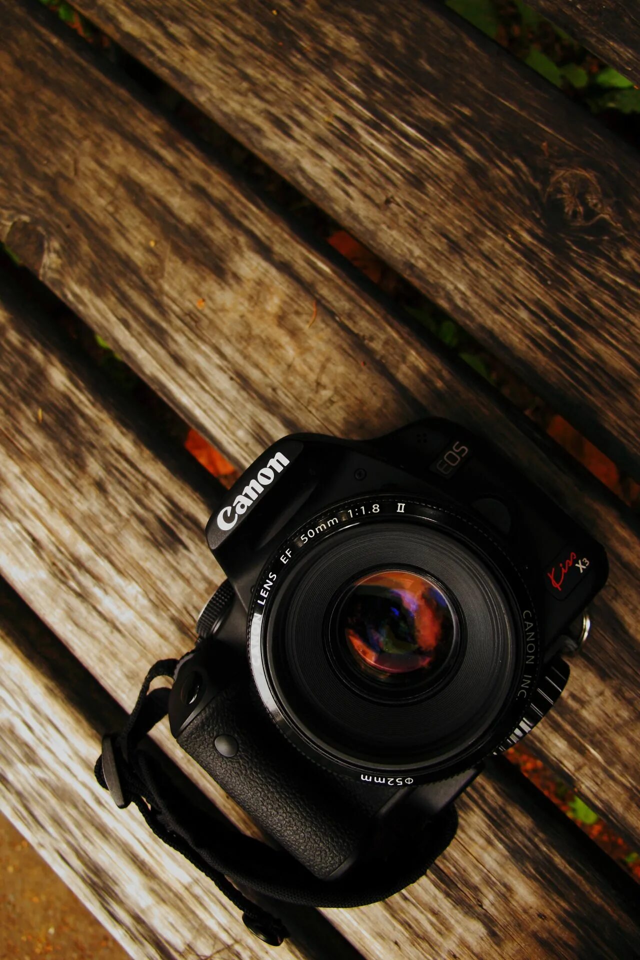 Крутой фотоаппарат фото jaimejustelaphoto Canon camera photography, Best camera for photography, Camera 