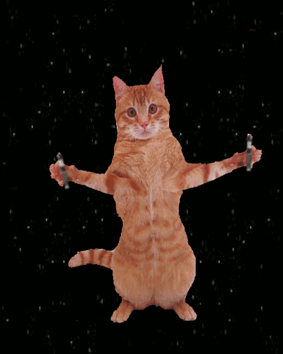 Крутой кот который танцует шевелящиеся картинки фото Imgur worthy post? Cat...check, Star Wars...check, gif...check - GIF on Imgur