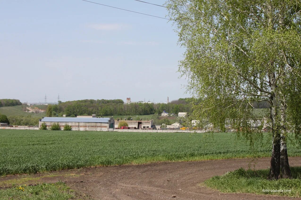 Крутой лог белгородский район фото улиц Крутой Лог. Белгородский район Фотопланета