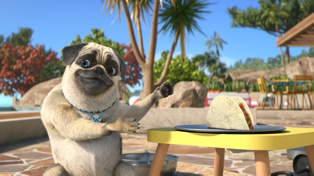 Крутой майк фото Video Mike, une vie de chien! Épisode Des tacos pour Iris ICI Radio-Canada.ca Je