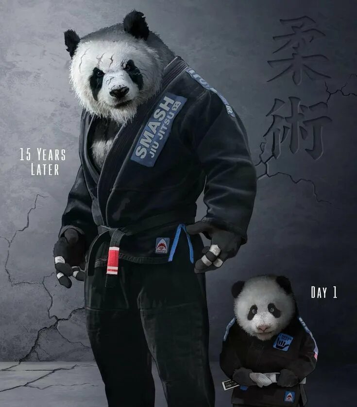 Крутой панда фото Pin on Artes marciais Martial arts sparring, Panda art, Martial arts