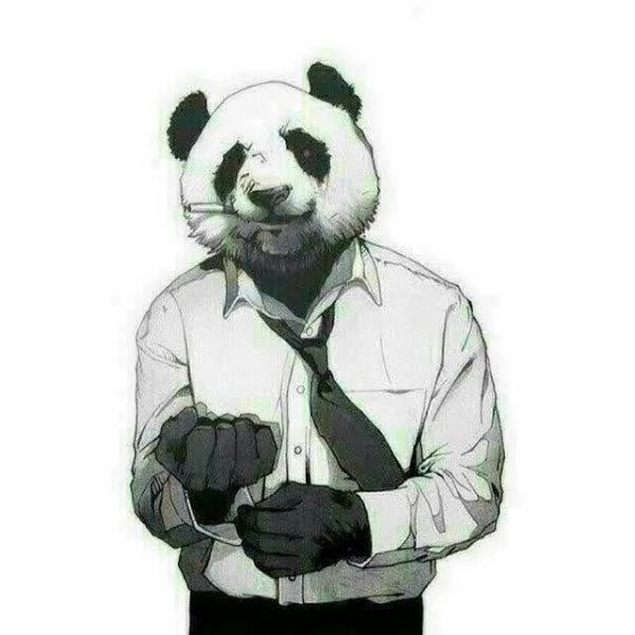 Крутой панда фото GrumpyPanda201 - YouTube