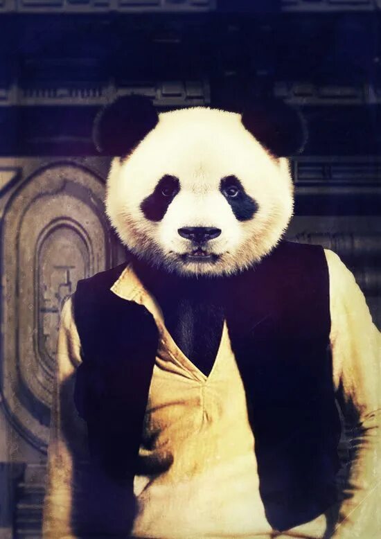 Крутой панда фото Poster THE ROGUE von Rubbishmonkey Panda art, Cool panda, Panda love