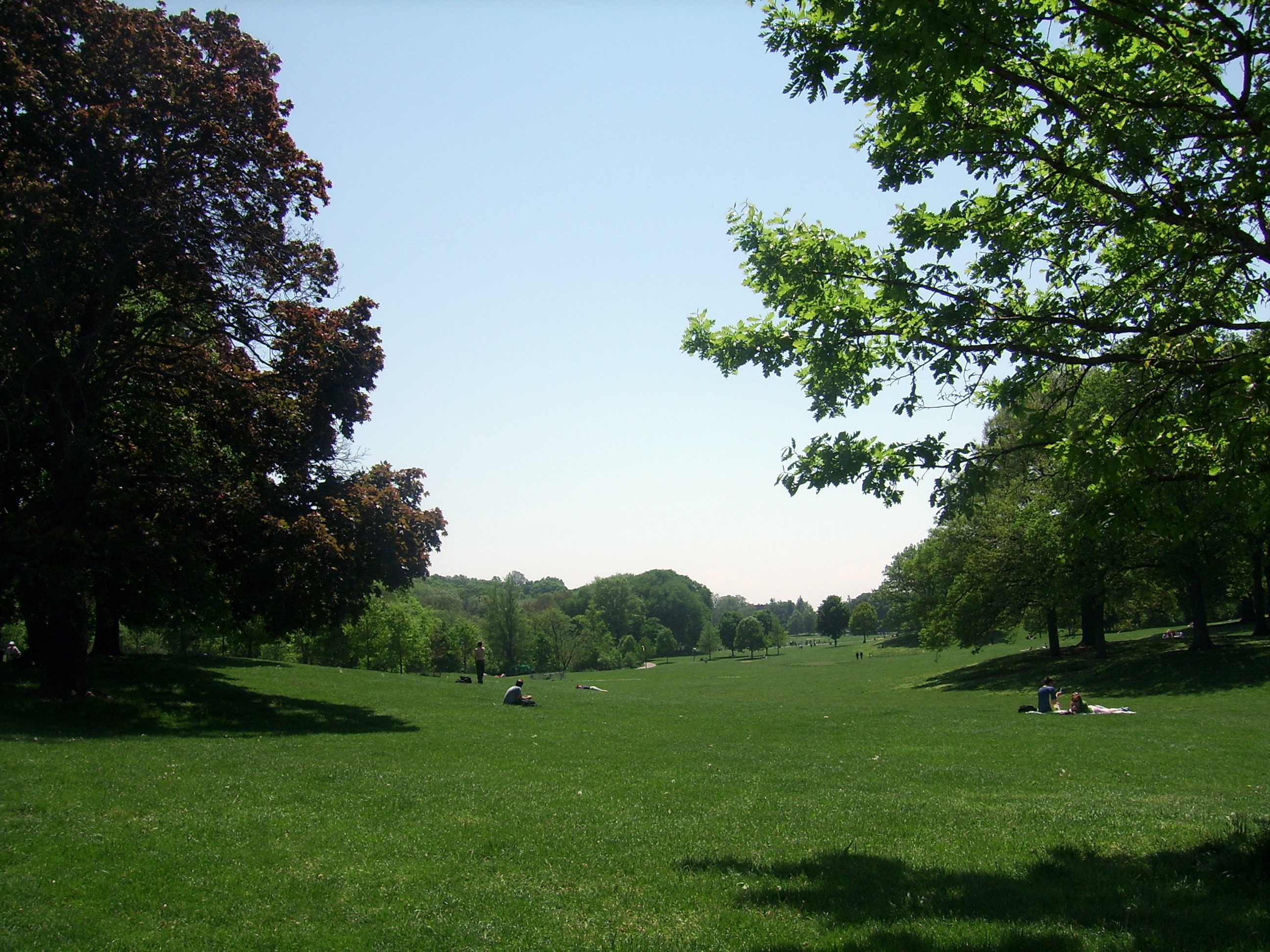 Крутой парк просп мира 43 фото File:Prospect Park Brooklyn (2639269029).jpg - Wikimedia Commons