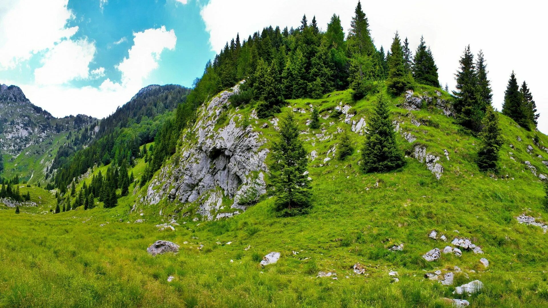 Крутой склон фото mountain hdri images 1920x1080 Landscape wallpaper, Tree landscape wallpaper, Na