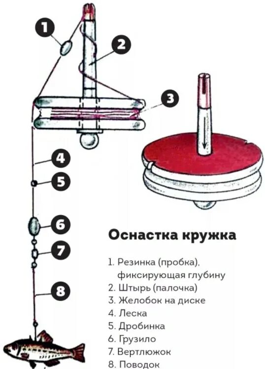 Кружки для рыбалки оснастка Ловля щуки летом на живца