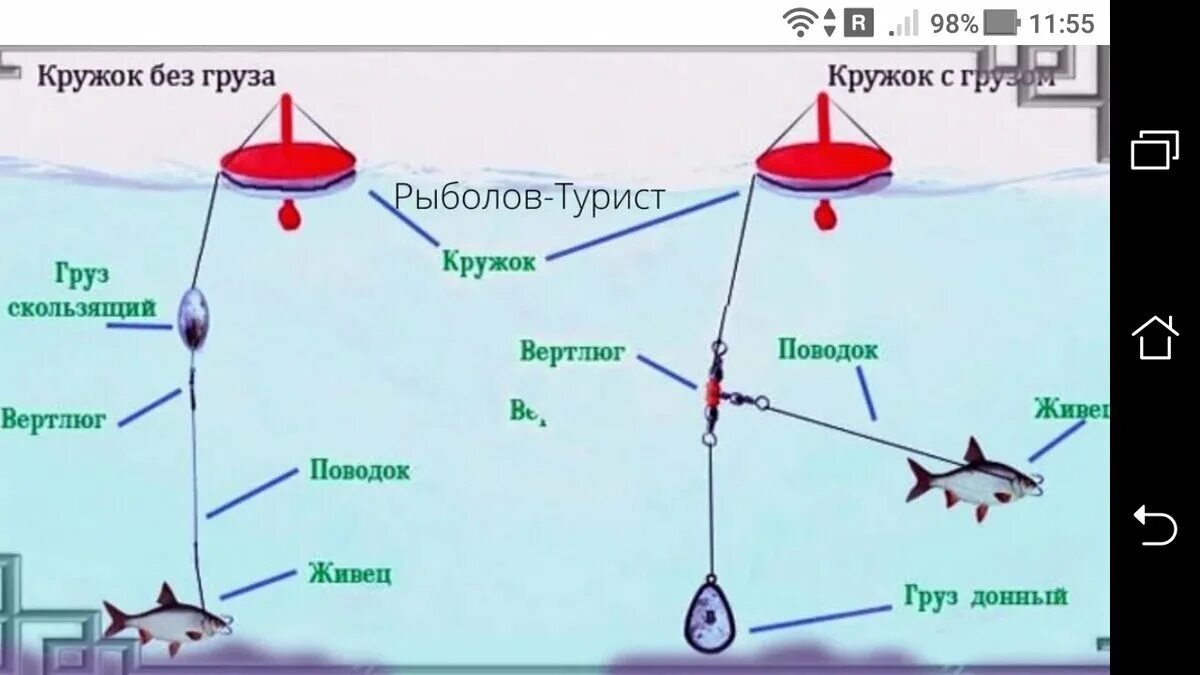 Кружки рыболовные оснастка Как насаживать живца карася на жерлицу с одинарным крючком на щуку Фото заметки 