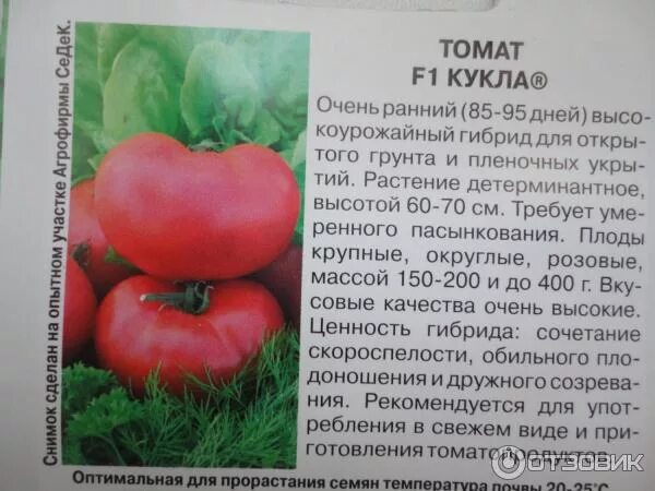 Кукла сорт помидор фото Отзыв о Семена томата СеДек F1 Кукла Сорт неплохой, помидорки красивые, ароматны