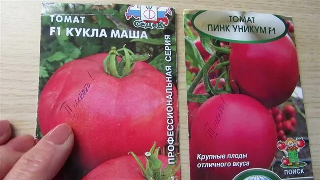 Кукла сорт помидор фото Томат Кукла
