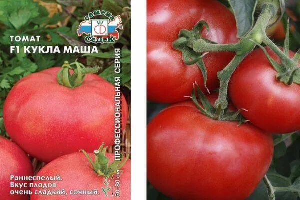 Кукла томат описание фото Томат Кукла Маша (СЕДЕК): Фото и Семена Зеленый рай Фотогалерея природы на dia-l