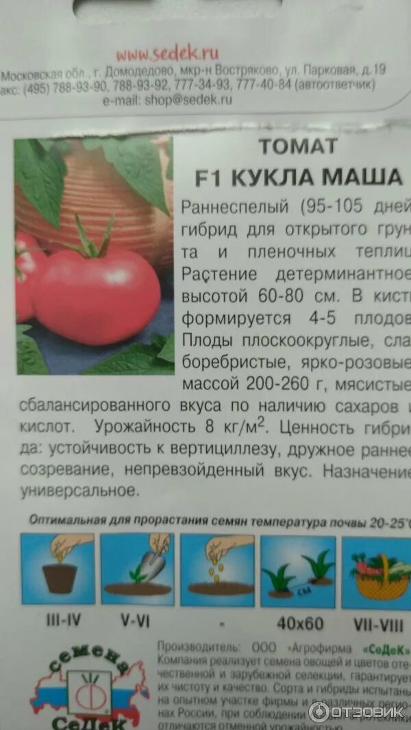 Кукла томат описание фото Отзыв о Семена томата СеДеК "F1 Кукла Маша" Хорошая всхожесть семян, отличный со