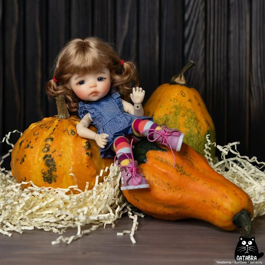 Куклы тыквы фото Осеннее - Meadow dolls - Медовушки куклы BJD Бэйбики - 201213