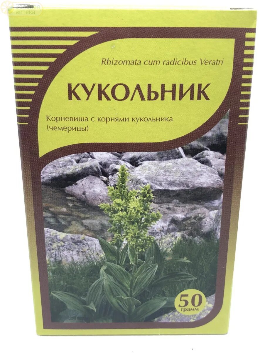 Кукольник трава фото Кукольник (чемерица) корень купить в "Зелёной аптеке"