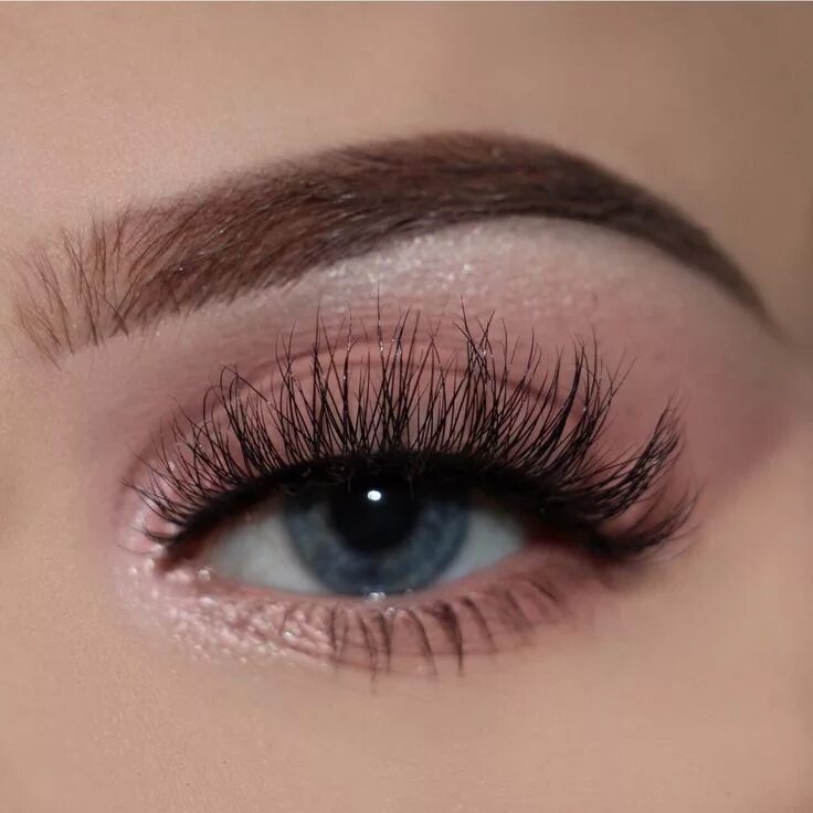 Кукольно лисий эффект наращивание ресниц 2д фото Doll Beauty Lashes - Kimberley Beauty lash, False eyelashes, Lashes