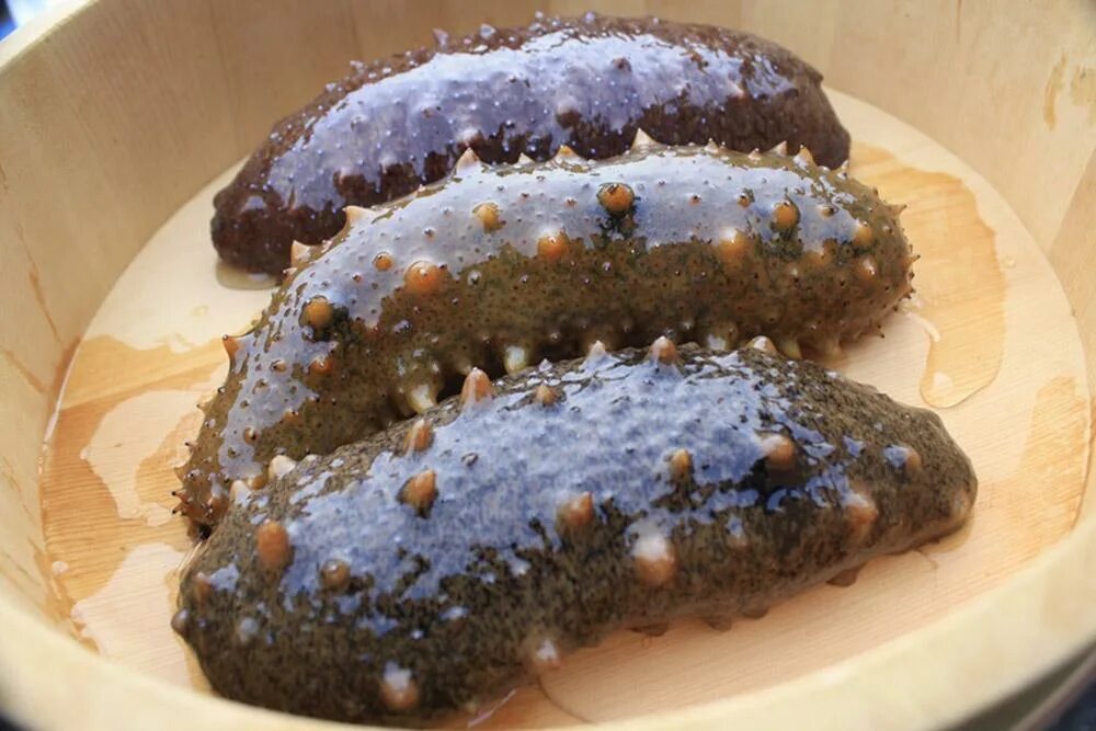 Кукумария что это такое фото Трепанг вкус - CoffeePapa.ru