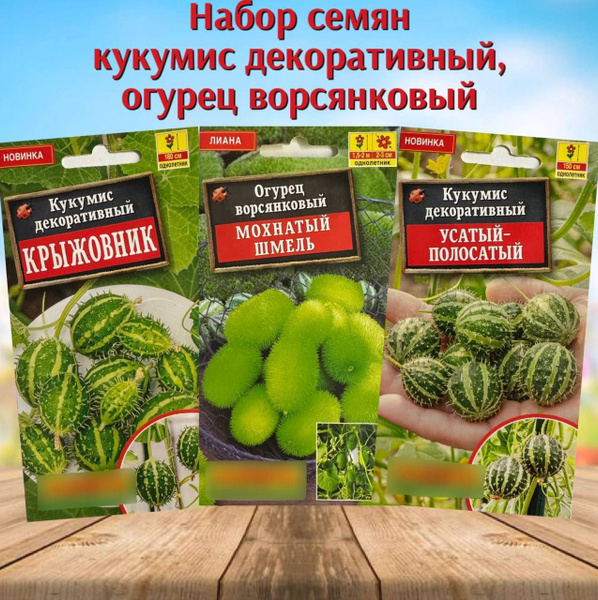 Кукумис декоративный фото Кукумис, Огурцы Аэлита Кукумис декоративный и Огурец Ворсянковый набор 3 уп. - к