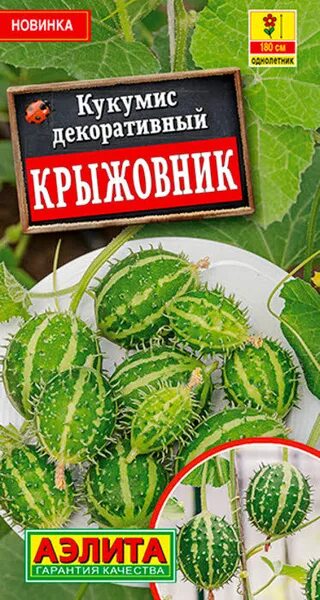 Кукумис декоративный фото Кукумис, Декоративные разные Аэлита 1 - купить по выгодным ценам в интернет-мага