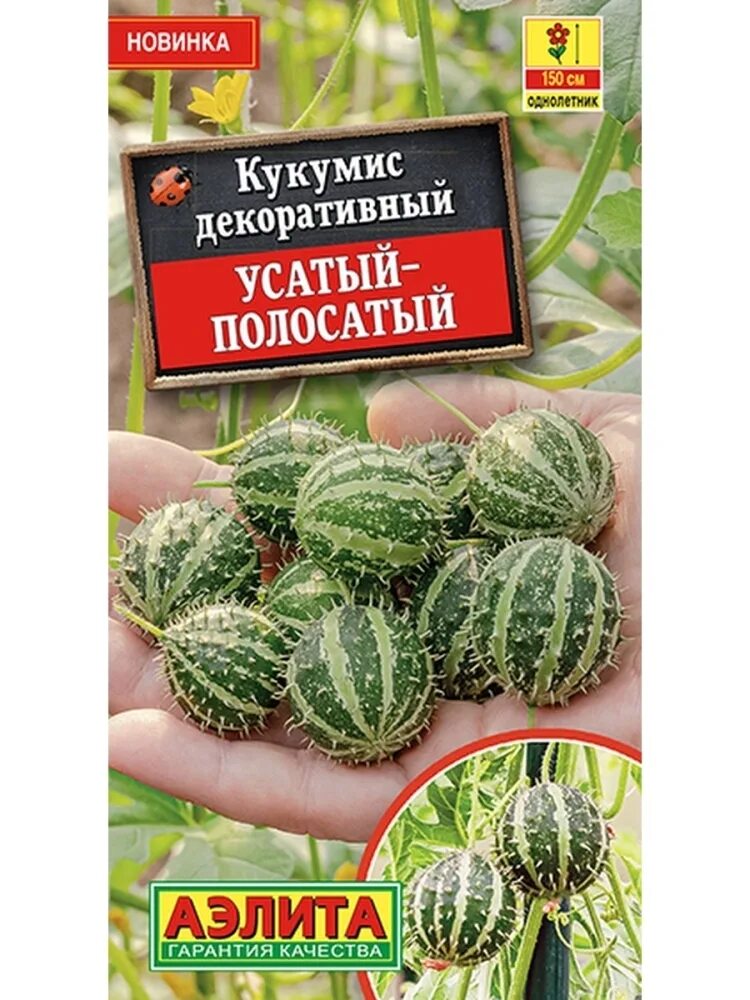 Кукумис декоративный фото 2A00000171818 - купить по выгодным ценам в интернет-магазине OZON