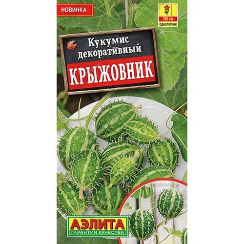 Кукумис декоративный фото Кукумис декоративный Крыжовник Аэлита (98978): купить семена почтой в Беларуси и