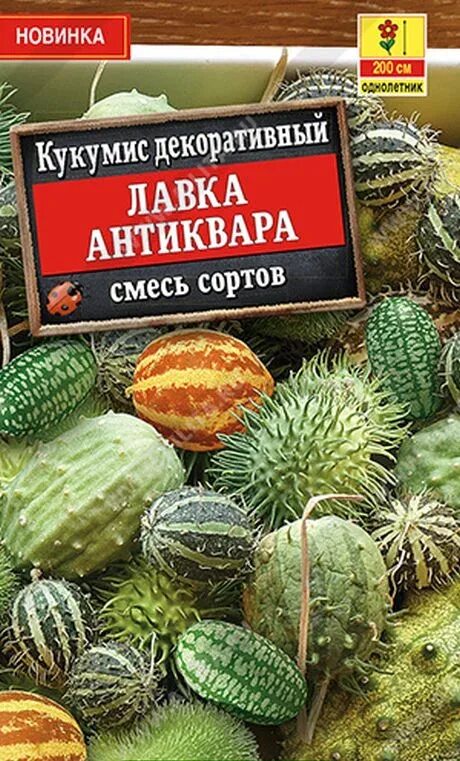 Кукумис декоративный фото в саду Семена Кукумис декоративный Лавка антиквара, смесь сортов: описание сорта, фото 