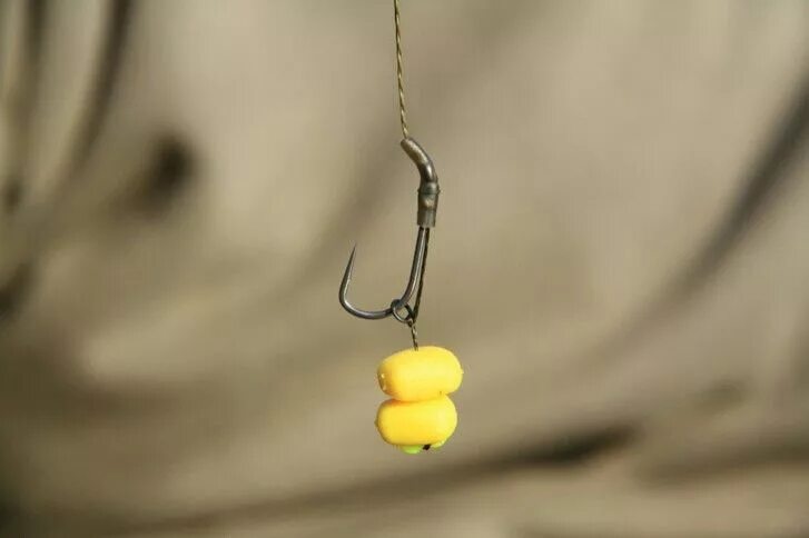 Кукуруза на волосяной оснастке Pin on Sazan in 2024 Carp rigs, Carp, Carp fishing rigs