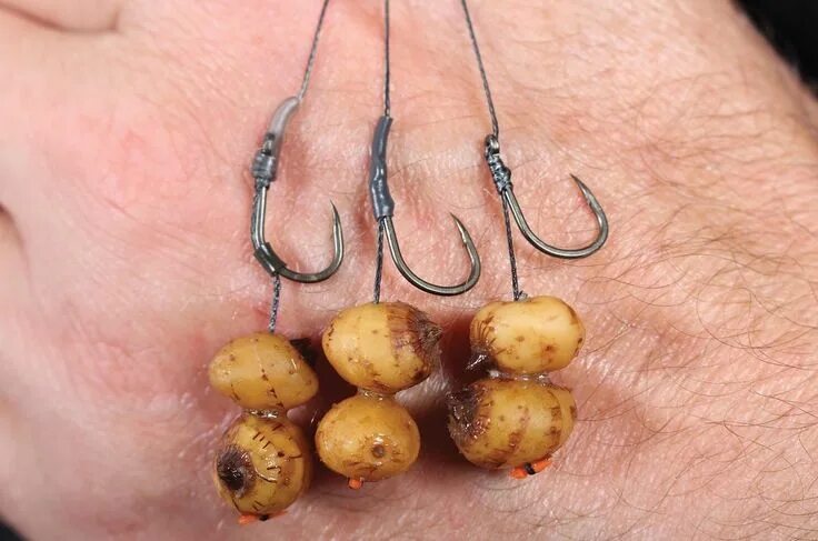Кукуруза на волосяной оснастке How to tie the basic Knotless Knot Rig - Articles - CARPology Magazine Carp fish