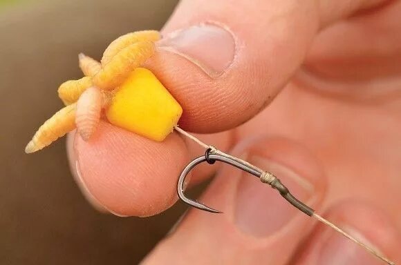 Кукуруза на волосяной оснастке How to tie the perfect maggot rig Carp fishing rigs, Fishing rigs, Carp fishing 