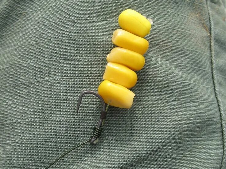 Кукуруза на волосяной оснастке Pin on carp corn rigs Carp rigs, Carp fishing rigs, Carp fishing