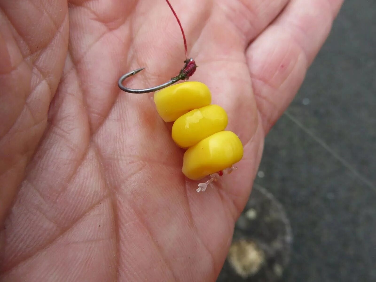 Кукуруза на волосяной оснастке Pin by Евгений Трофимов on рыбалка Carp fishing rigs, Carp fishing, Bait