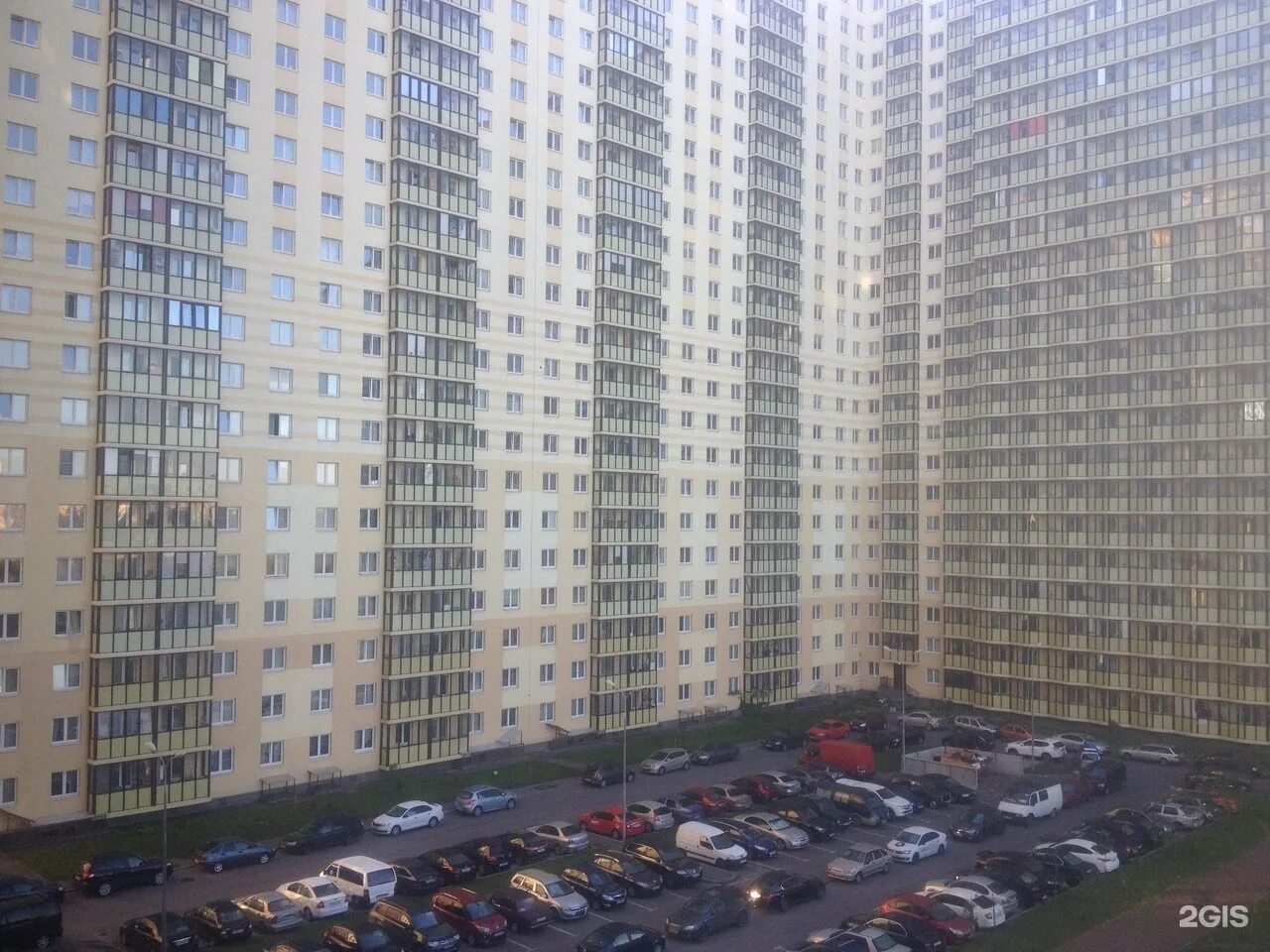 Кукуруза охтинская аллея 9 фото Экопарк охтинская аллея 9 мурино фото