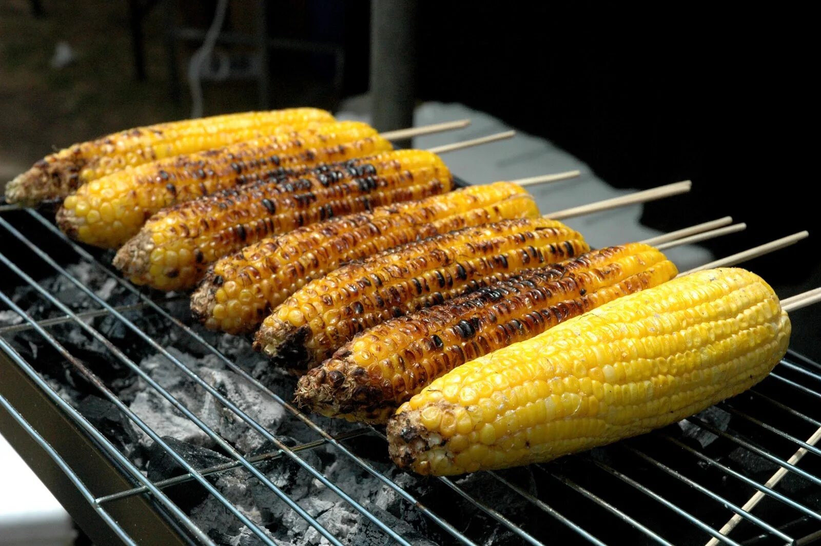 Кукуруза с мясом фото SPRING BONFIRE HERE NOW! - Page 7 - EX Community