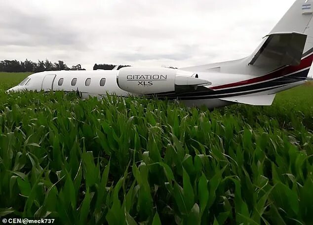 Кукурузный самолет фото Hero pilot manages to crash land in cornfield without injuring anyone on board D