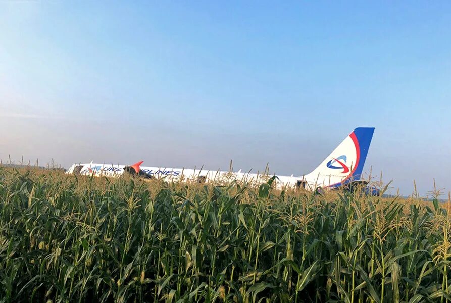 Кукурузный самолет фото В Крыму ответили на внесение посадившего A321 экипажа в базу "Миротворца" - РБК