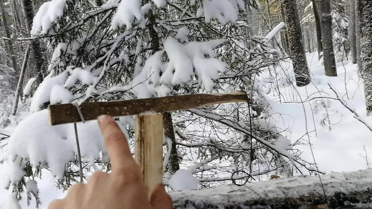 Кулемка на соболя устройство фото рамочная гуманная ловушка на соболя - YouTube