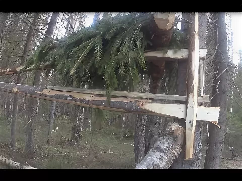 Кулемка на соболя устройство фото Обзор на кулемку проходного типа - YouTube