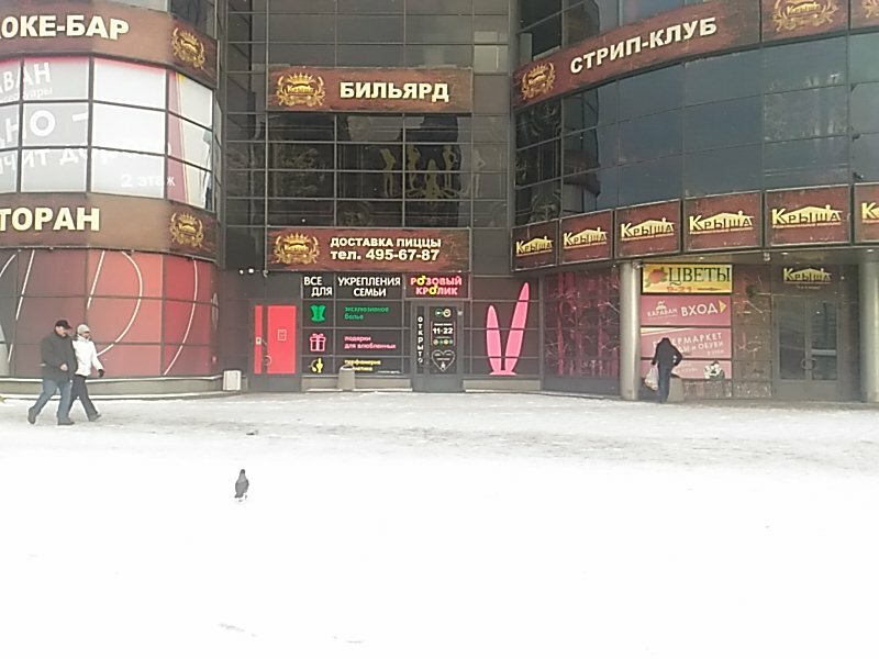 Культпросвет просп культуры 20 фото КультПросвет, торговый центр, просп. Культуры, 20, Санкт-Петербург - Яндекс Карт