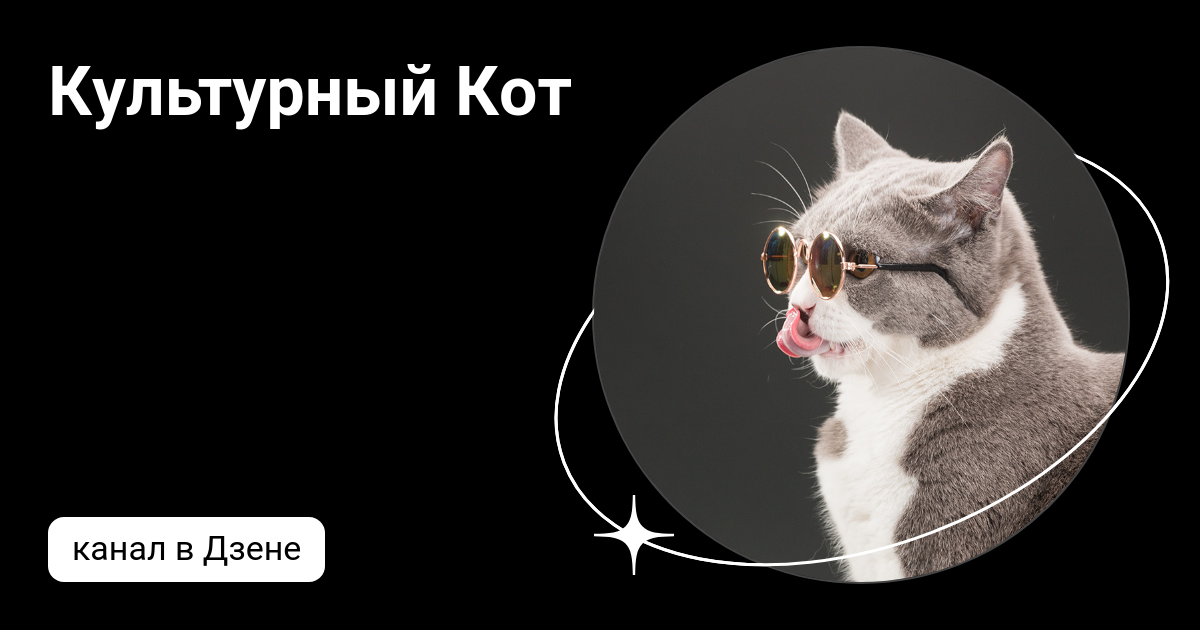 Культурный кот октябрьская ул 17а фото Культурный Кот Дзен