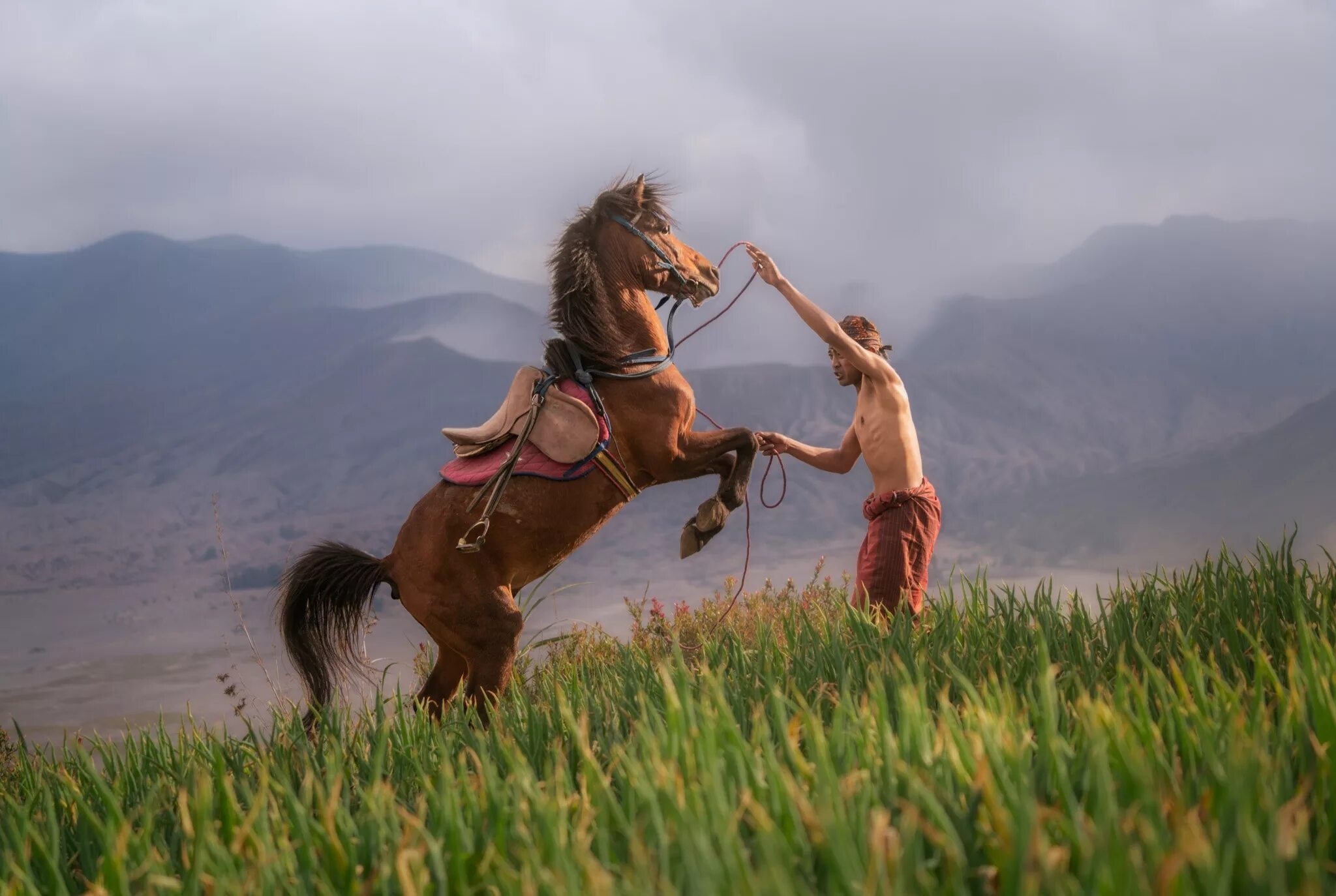 Кума на лошади фото Скачать обои grass, mountains, fog, man, hill, slope, horse, training, раздел си