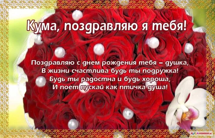 Кума с днем рождения прикольное фото Пин на доске Поздравления с днем рождения С днем рождения, Картинки, Рождение