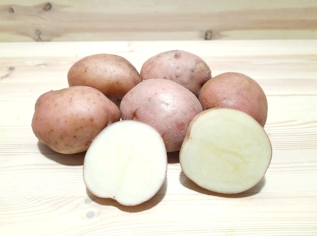 Кумач картофель характеристика отзывы фото КАРТОФЕЛЬ сорт Кумач (100%, 1 кг, 1,05 кг)