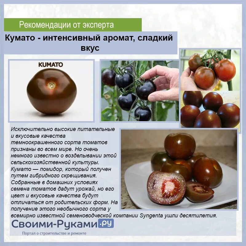 Кумато помидоры фото отзывы описание Томат кумато отзывы фото Molot-Club.ru