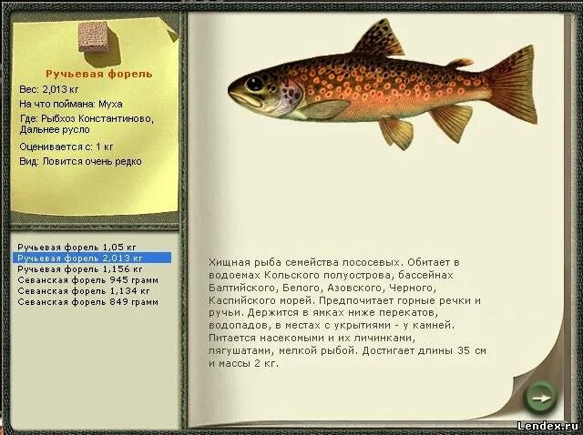 Кумжа рыба фото описание где водится форум игры Русская рыбалка