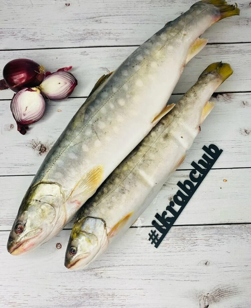 Кунджа рыба фото Кунджа нр 1+ (тихоокеанская форель), 11 кг - Морепродукты и рыба - купить с дост