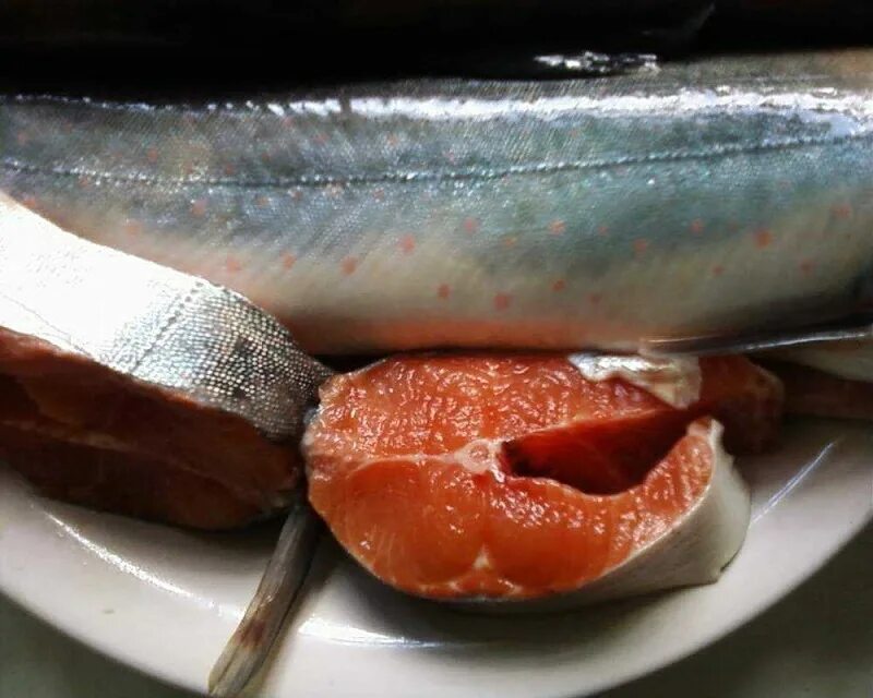 Кунджа рыба фото описание цвет мяса Купить копчёную рыбу с производства в Санкт-Петербурге